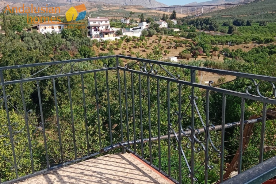 Álora property, finca for sale Álora, rustic farm Andalusia, country house Málaga, rural property Spain, finca with pool, citrus farm Álora, Andalusian countryside, property investment Spain, house with land Álora, country home for sale, rustic estate Málaga, real estate Álora, finca with fruit trees, Spanish country property
