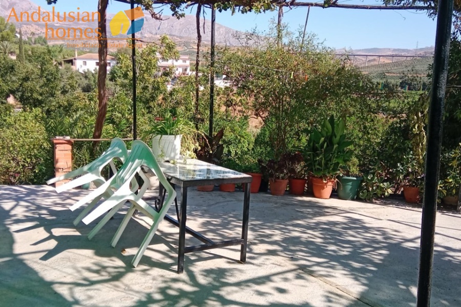 Álora property, finca for sale Álora, rustic farm Andalusia, country house Málaga, rural property Spain, finca with pool, citrus farm Álora, Andalusian countryside, property investment Spain, house with land Álora, country home for sale, rustic estate Málaga, real estate Álora, finca with fruit trees, Spanish country property
