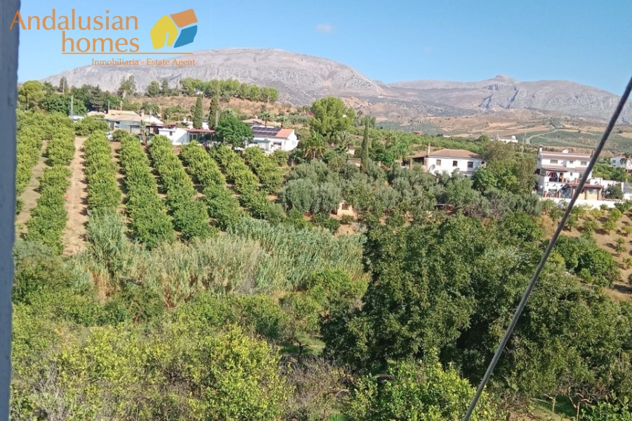 Álora property, finca for sale Álora, rustic farm Andalusia, country house Málaga, rural property Spain, finca with pool, citrus farm Álora, Andalusian countryside, property investment Spain, house with land Álora, country home for sale, rustic estate Málaga, real estate Álora, finca with fruit trees, Spanish country property
