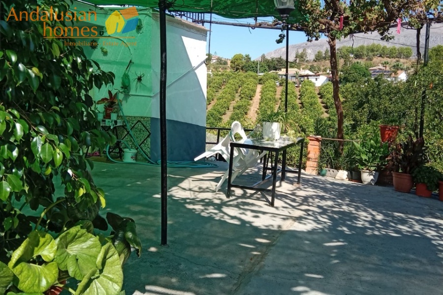 Álora property, finca for sale Álora, rustic farm Andalusia, country house Málaga, rural property Spain, finca with pool, citrus farm Álora, Andalusian countryside, property investment Spain, house with land Álora, country home for sale, rustic estate Málaga, real estate Álora, finca with fruit trees, Spanish country property
