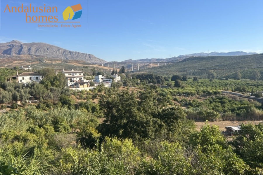 Álora property, finca for sale Álora, rustic farm Andalusia, country house Málaga, rural property Spain, finca with pool, citrus farm Álora, Andalusian countryside, property investment Spain, house with land Álora, country home for sale, rustic estate Málaga, real estate Álora, finca with fruit trees, Spanish country property
