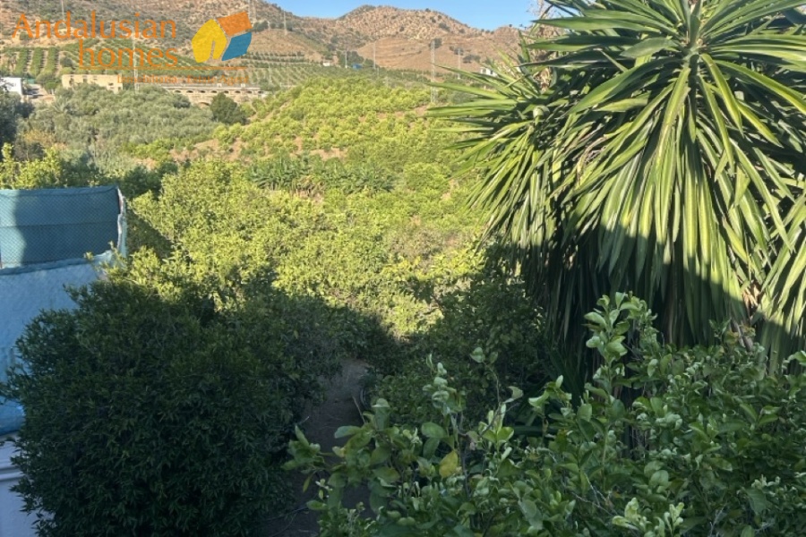 Álora property, finca for sale Álora, rustic farm Andalusia, country house Málaga, rural property Spain, finca with pool, citrus farm Álora, Andalusian countryside, property investment Spain, house with land Álora, country home for sale, rustic estate Málaga, real estate Álora, finca with fruit trees, Spanish country property
