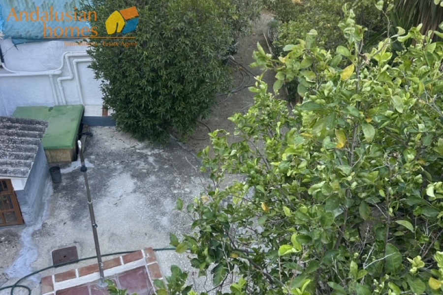 Álora property, finca for sale Álora, rustic farm Andalusia, country house Málaga, rural property Spain, finca with pool, citrus farm Álora, Andalusian countryside, property investment Spain, house with land Álora, country home for sale, rustic estate Málaga, real estate Álora, finca with fruit trees, Spanish country property
