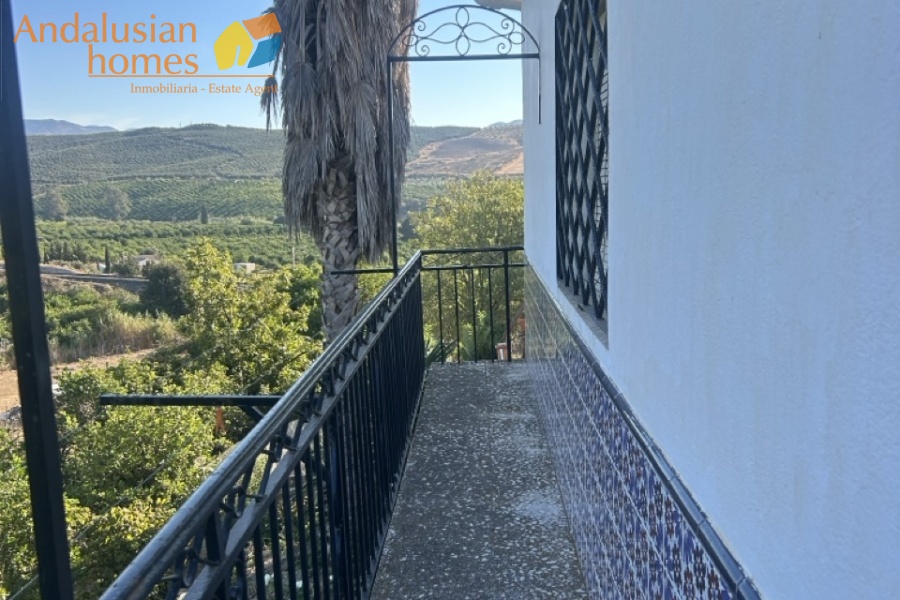 Álora property, finca for sale Álora, rustic farm Andalusia, country house Málaga, rural property Spain, finca with pool, citrus farm Álora, Andalusian countryside, property investment Spain, house with land Álora, country home for sale, rustic estate Málaga, real estate Álora, finca with fruit trees, Spanish country property
