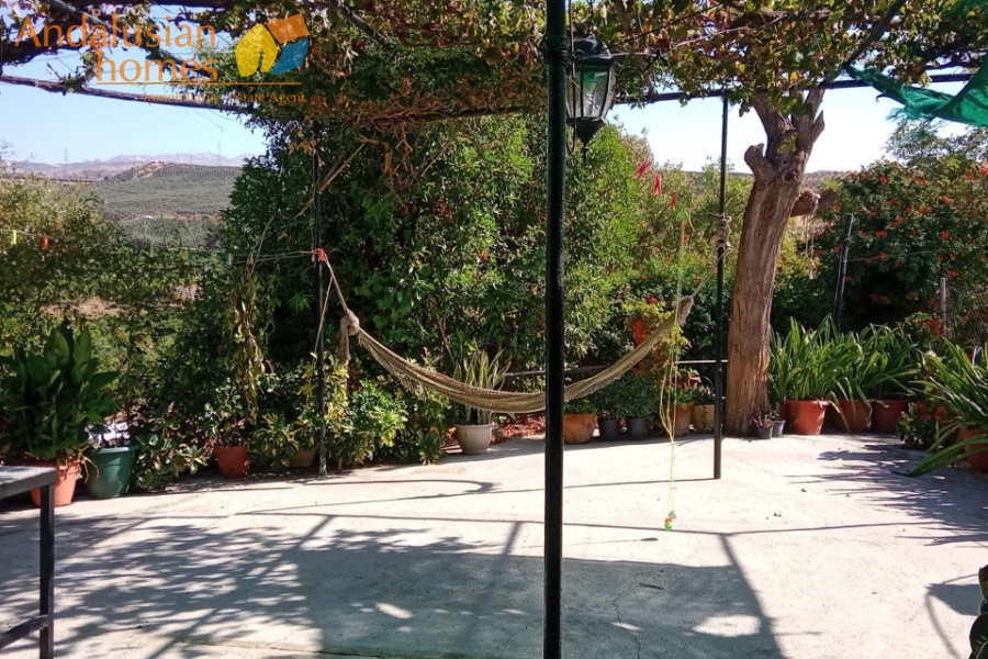 Álora property, finca for sale Álora, rustic farm Andalusia, country house Málaga, rural property Spain, finca with pool, citrus farm Álora, Andalusian countryside, property investment Spain, house with land Álora, country home for sale, rustic estate Málaga, real estate Álora, finca with fruit trees, Spanish country property
