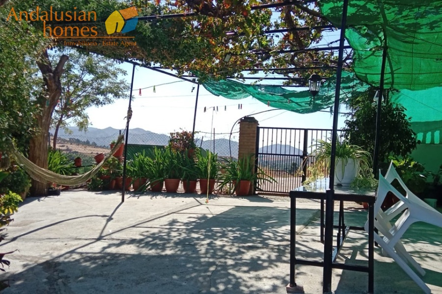 Álora property, finca for sale Álora, rustic farm Andalusia, country house Málaga, rural property Spain, finca with pool, citrus farm Álora, Andalusian countryside, property investment Spain, house with land Álora, country home for sale, rustic estate Málaga, real estate Álora, finca with fruit trees, Spanish country property

