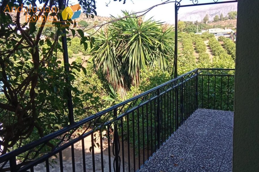 Álora property, finca for sale Álora, rustic farm Andalusia, country house Málaga, rural property Spain, finca with pool, citrus farm Álora, Andalusian countryside, property investment Spain, house with land Álora, country home for sale, rustic estate Málaga, real estate Álora, finca with fruit trees, Spanish country property
