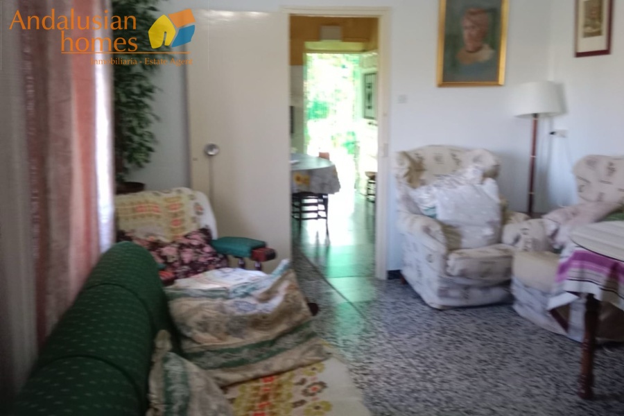Álora property, finca for sale Álora, rustic farm Andalusia, country house Málaga, rural property Spain, finca with pool, citrus farm Álora, Andalusian countryside, property investment Spain, house with land Álora, country home for sale, rustic estate Málaga, real estate Álora, finca with fruit trees, Spanish country property

