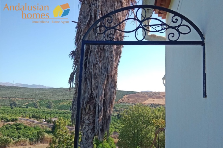 Álora property, finca for sale Álora, rustic farm Andalusia, country house Málaga, rural property Spain, finca with pool, citrus farm Álora, Andalusian countryside, property investment Spain, house with land Álora, country home for sale, rustic estate Málaga, real estate Álora, finca with fruit trees, Spanish country property
