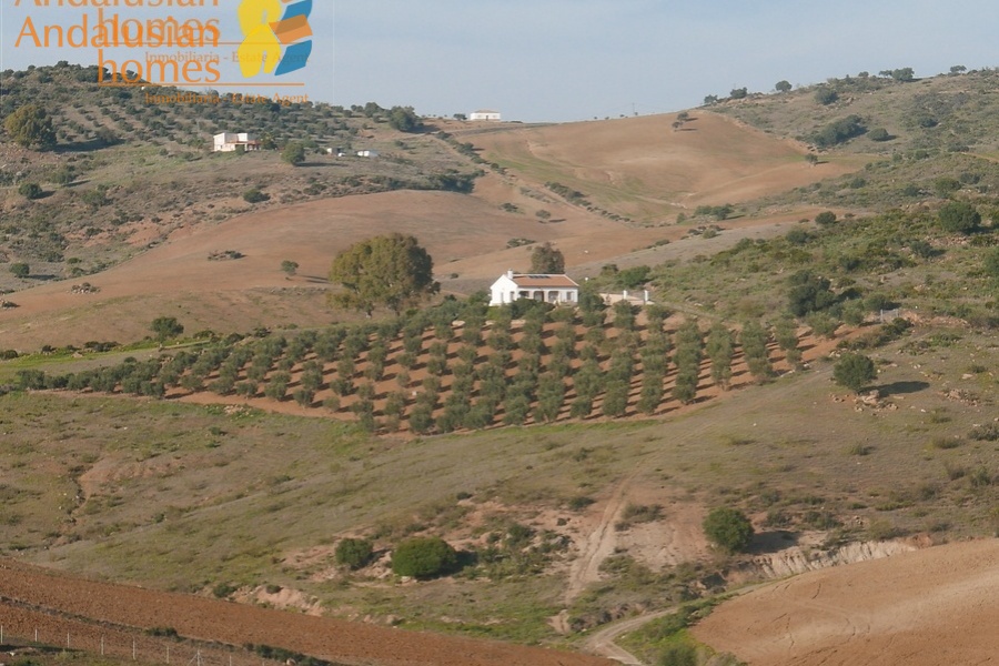 Álora property for sale, casa en venta en Álora, 3-bedroom house Álora, casa de 3 dormitorios, rural home with land, finca con terreno, Andalusian home, vivienda andaluza, house with solar panels, casa con paneles solares, fireplace home, casa con chimenea, fenced land property, terreno vallado, country house Málaga, casa rural Málaga, holiday home Spain, casa de vacaciones España, investment property Andalusia, inversión inmobiliaria Andalucía, rural retreat, retiro rural, house near Álora, casa cerca de Álora, Málaga countryside property, propiedad en el campo Málaga, self-sufficient home, vivienda autosuficiente, tranquil countryside living, vida tranquila en el campo, property with parking and storage, propiedad con aparcamiento y trastero
