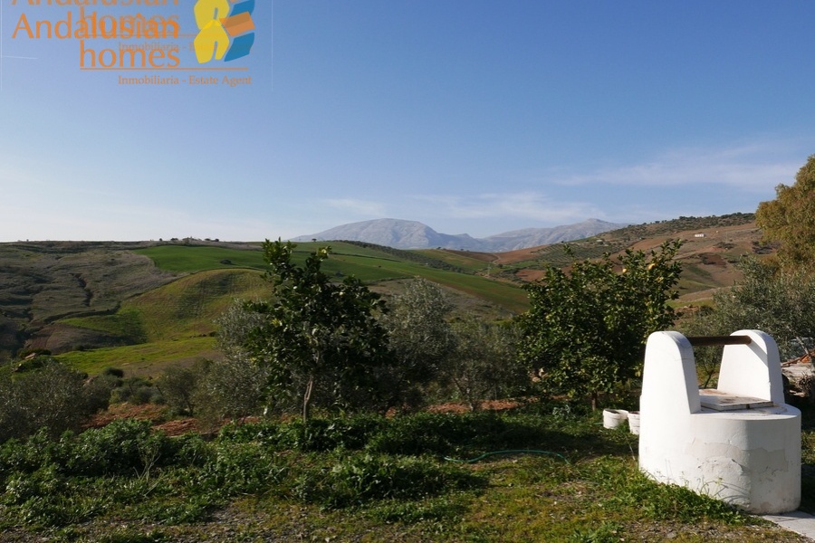 Álora property for sale, casa en venta en Álora, 3-bedroom house Álora, casa de 3 dormitorios, rural home with land, finca con terreno, Andalusian home, vivienda andaluza, house with solar panels, casa con paneles solares, fireplace home, casa con chimenea, fenced land property, terreno vallado, country house Málaga, casa rural Málaga, holiday home Spain, casa de vacaciones España, investment property Andalusia, inversión inmobiliaria Andalucía, rural retreat, retiro rural, house near Álora, casa cerca de Álora, Málaga countryside property, propiedad en el campo Málaga, self-sufficient home, vivienda autosuficiente, tranquil countryside living, vida tranquila en el campo, property with parking and storage, propiedad con aparcamiento y trastero
