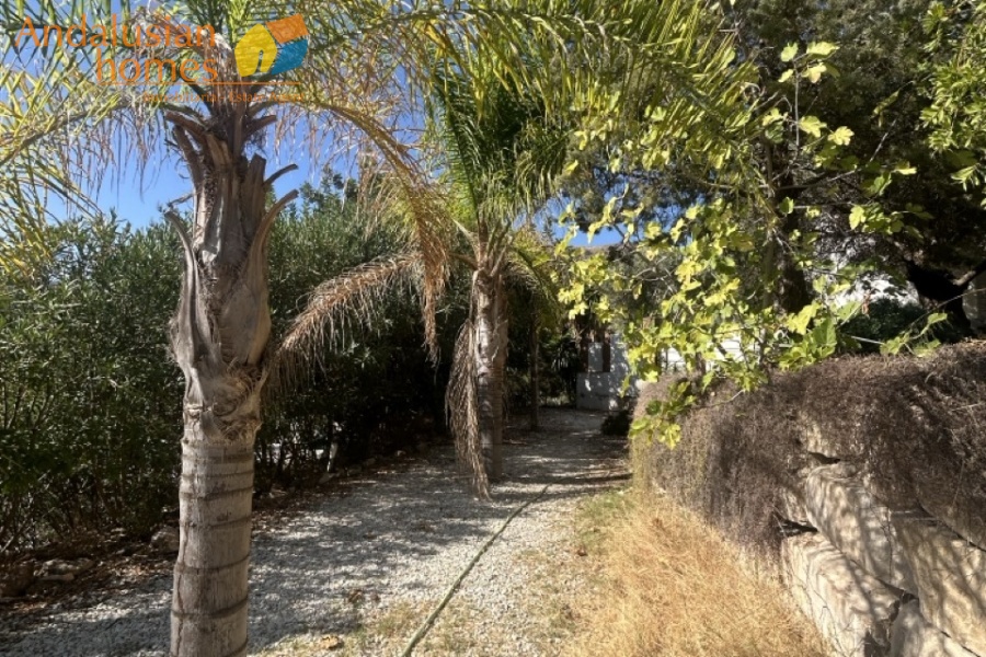 country house, casa rural, El Chorro, Caminito del Rey, Álora, Málaga, Andalusia, pool, piscina, olive trees, olivos, rural property, casa de campo, hiking, senderismo, lakes, lagos, vacation home, casa de vacaciones, tranquility, tranquilidad, outdoor living, vida al aire libre