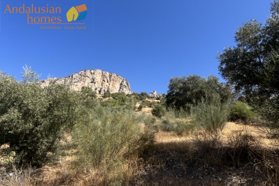 country house, casa rural, El Chorro, Caminito del Rey, Álora, Málaga, Andalusia, pool, piscina, olive trees, olivos, rural property, casa de campo, hiking, senderismo, lakes, lagos, vacation home, casa de vacaciones, tranquility, tranquilidad, outdoor living, vida al aire libre