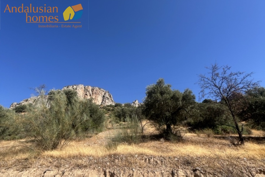 country house, casa rural, El Chorro, Caminito del Rey, Álora, Málaga, Andalusia, pool, piscina, olive trees, olivos, rural property, casa de campo, hiking, senderismo, lakes, lagos, vacation home, casa de vacaciones, tranquility, tranquilidad, outdoor living, vida al aire libre