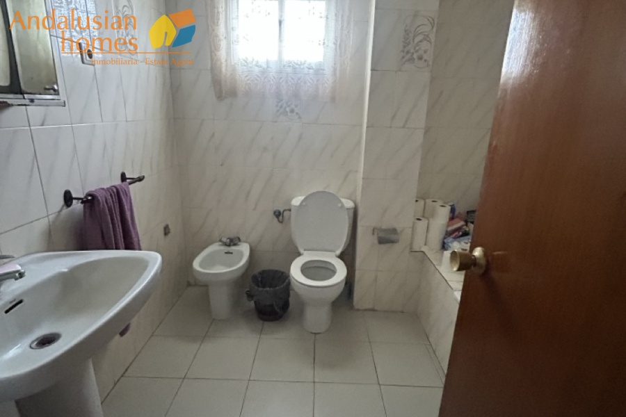 rustic farm, finca rústica, Álora property, property for sale Álora, countryside house, casa de campo, guest house, casa de invitados, lemon grove, huerto de limones, spacious house, casa espaciosa, land for sale, terreno en venta, rural retreat, retiro rural, modern renovation, renovación moderna, Andalusian farm, finca andaluza, private property, propiedad privada
