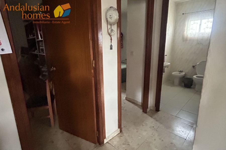 rustic farm, finca rústica, Álora property, property for sale Álora, countryside house, casa de campo, guest house, casa de invitados, lemon grove, huerto de limones, spacious house, casa espaciosa, land for sale, terreno en venta, rural retreat, retiro rural, modern renovation, renovación moderna, Andalusian farm, finca andaluza, private property, propiedad privada
