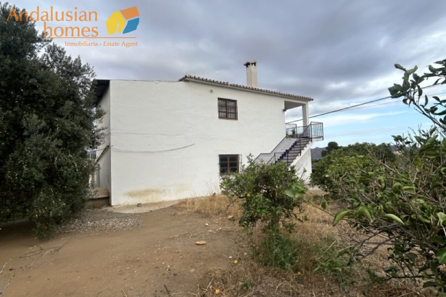 rustic farm, finca rústica, Álora property, property for sale Álora, countryside house, casa de campo, guest house, casa de invitados, lemon grove, huerto de limones, spacious house, casa espaciosa, land for sale, terreno en venta, rural retreat, retiro rural, modern renovation, renovación moderna, Andalusian farm, finca andaluza, private property, propiedad privada
