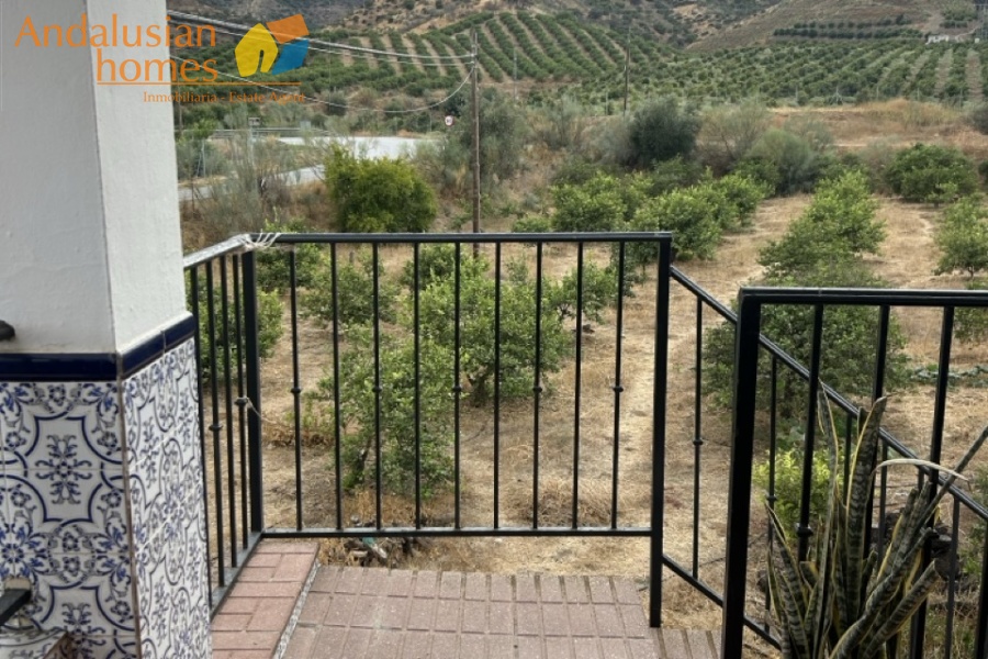 rustic farm, finca rústica, Álora property, property for sale Álora, countryside house, casa de campo, guest house, casa de invitados, lemon grove, huerto de limones, spacious house, casa espaciosa, land for sale, terreno en venta, rural retreat, retiro rural, modern renovation, renovación moderna, Andalusian farm, finca andaluza, private property, propiedad privada
