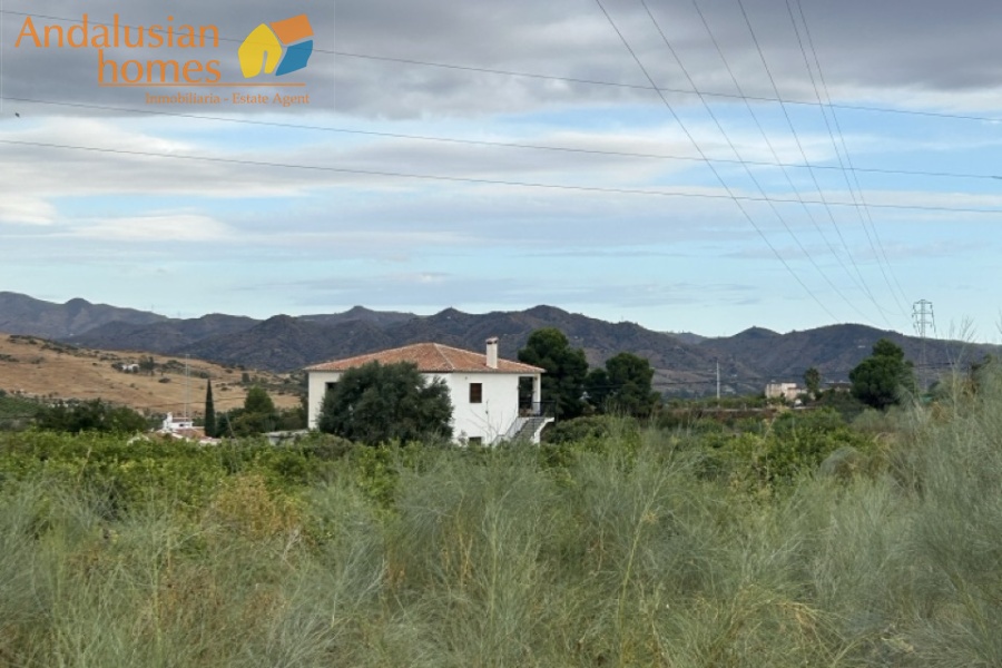 rustic farm, finca rústica, Álora property, property for sale Álora, countryside house, casa de campo, guest house, casa de invitados, lemon grove, huerto de limones, spacious house, casa espaciosa, land for sale, terreno en venta, rural retreat, retiro rural, modern renovation, renovación moderna, Andalusian farm, finca andaluza, private property, propiedad privada
