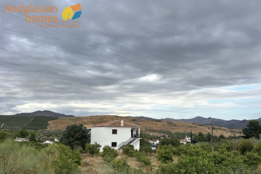 rustic farm, finca rústica, Álora property, property for sale Álora, countryside house, casa de campo, guest house, casa de invitados, lemon grove, huerto de limones, spacious house, casa espaciosa, land for sale, terreno en venta, rural retreat, retiro rural, modern renovation, renovación moderna, Andalusian farm, finca andaluza, private property, propiedad privada
