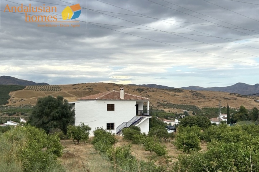 rustic farm, finca rústica, Álora property, property for sale Álora, countryside house, casa de campo, guest house, casa de invitados, lemon grove, huerto de limones, spacious house, casa espaciosa, land for sale, terreno en venta, rural retreat, retiro rural, modern renovation, renovación moderna, Andalusian farm, finca andaluza, private property, propiedad privada
