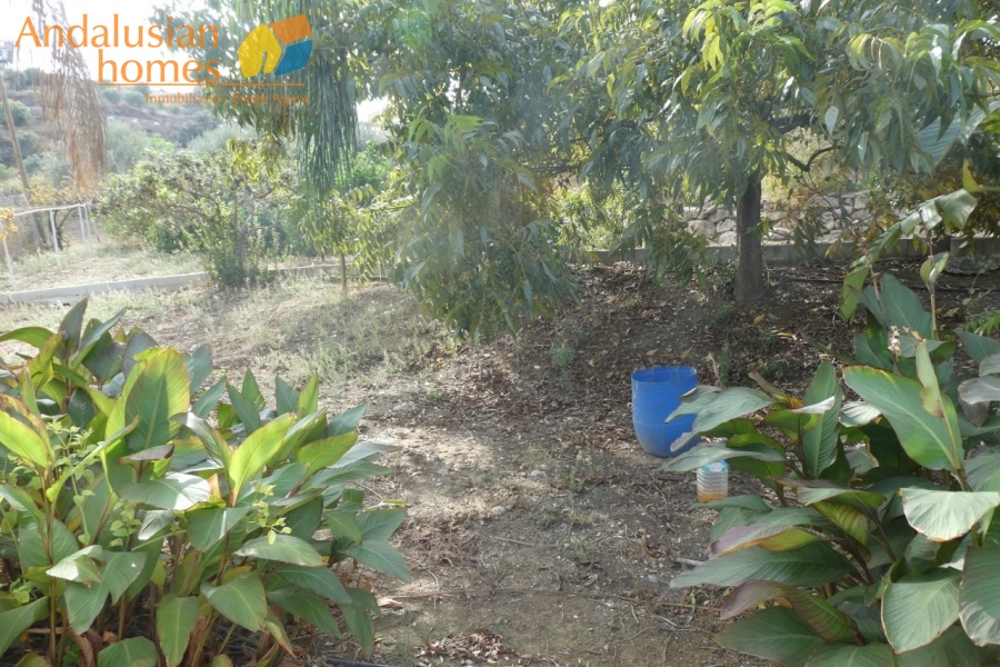 Álora property for sale, Andalusian estate, country house Spain, rural home Andalusia, villa with pool, private estate Spain, family home Andalusia, vacation home Spain, property with gardens, house with outbuildings, self-contained apartment, estate near Álora, luxury rural property, fruit trees property Spain, outdoor kitchen estate, investment property Andalusia, Spanish countryside villa, retreat near Málaga, estate with well, Spanish villa for sale
