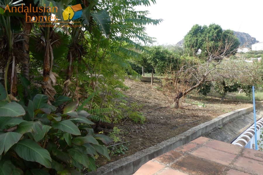 Álora property for sale, Andalusian estate, country house Spain, rural home Andalusia, villa with pool, private estate Spain, family home Andalusia, vacation home Spain, property with gardens, house with outbuildings, self-contained apartment, estate near Álora, luxury rural property, fruit trees property Spain, outdoor kitchen estate, investment property Andalusia, Spanish countryside villa, retreat near Málaga, estate with well, Spanish villa for sale
