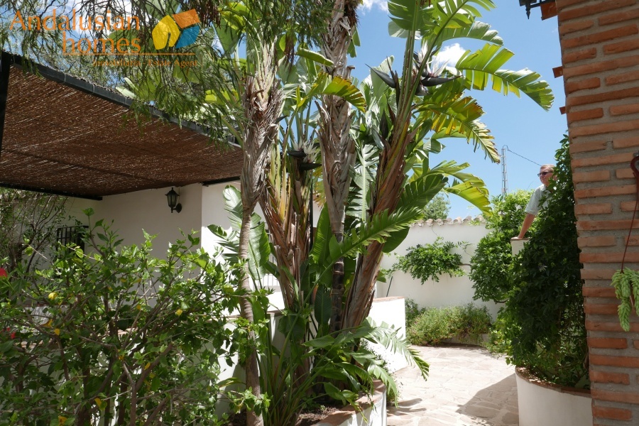 hotel for sale malaga, b&b for sale andalusia, boutique hotel for sale spain, country hotel for sale, guesthouse for sale costa del sol, rural hotel investment, bed and breakfast for sale spain, lifestyle business spain, property with pool and tennis court, historic hotel for sale, turnkey hospitality business, inland malaga property, country house with business potential.hotel en venta málaga, casa rural en venta andalucía, hotel boutique en venta españa, hostal en venta costa del sol, alojamiento rural en venta, inversión hotelera españa, bed and breakfast en venta, negocio turístico en venta, propiedad con piscina y pista de tenis, hotel histórico en venta, casa de campo con licencia turística, hotel rural andalucía, oportunidad de negocio hotelero.
