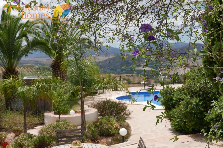 hotel for sale malaga, b&b for sale andalusia, boutique hotel for sale spain, country hotel for sale, guesthouse for sale costa del sol, rural hotel investment, bed and breakfast for sale spain, lifestyle business spain, property with pool and tennis court, historic hotel for sale, turnkey hospitality business, inland malaga property, country house with business potential.hotel en venta málaga, casa rural en venta andalucía, hotel boutique en venta españa, hostal en venta costa del sol, alojamiento rural en venta, inversión hotelera españa, bed and breakfast en venta, negocio turístico en venta, propiedad con piscina y pista de tenis, hotel histórico en venta, casa de campo con licencia turística, hotel rural andalucía, oportunidad de negocio hotelero.