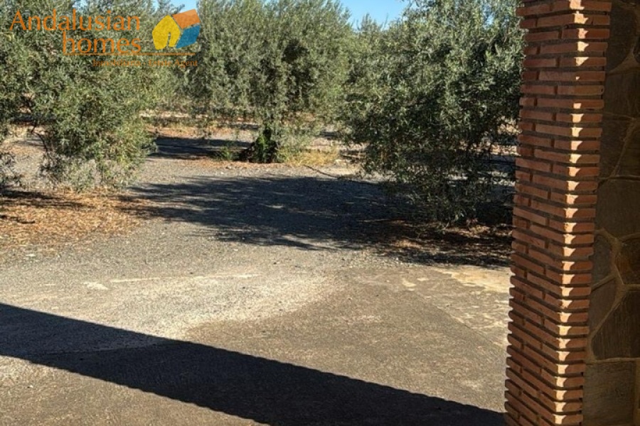 country property for sale
house near Álora
Andalusian country home
finca with olive trees
rural property Málaga
property with land
renovated country house
investment opportunity Spain
holiday home potential
mountain views property
peaceful location
real estate in Andalusia
property with garage
home with water supply
property for renovation 
finca en venta
casa cerca de Álora
casa de campo andaluza
finca con olivos
propiedad rural Málaga
propiedad con terreno
casa reformada parcialmente
oportunidad de inversión España
casa de vacaciones
propiedad con vistas a la montaña
ubicación tranquila
inmobiliaria en Andalucía
casa con garaje
suministro de agua disponible
propiedad para reformar