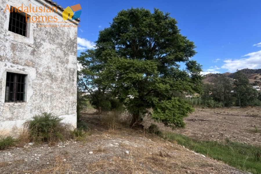 Álora property, country house for sale, Andalusian estate, renovation project, rural home, finca with land, property with potential, Spanish countryside, fireplace, walled garden, investment opportunity, house to reform. propiedad en Álora, casa de campo en venta, finca andaluza, proyecto de reforma, vivienda rural, finca con terreno, propiedad con potencial, campo español, chimenea, jardín amurallado, oportunidad de inversión, casa para reformar