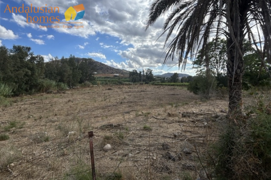 Álora property, country house for sale, Andalusian estate, renovation project, rural home, finca with land, property with potential, Spanish countryside, fireplace, walled garden, investment opportunity, house to reform. propiedad en Álora, casa de campo en venta, finca andaluza, proyecto de reforma, vivienda rural, finca con terreno, propiedad con potencial, campo español, chimenea, jardín amurallado, oportunidad de inversión, casa para reformar