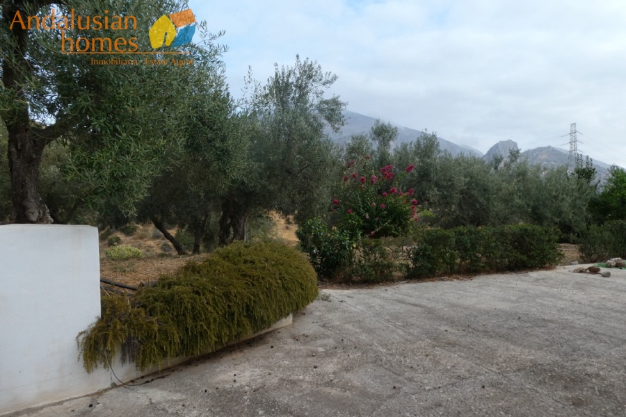 Álora property, country house AFO, finca for sale, mountain retreat Spain, off grid property, rural house Málaga, olive grove, secluded home, Andalusia real estate, Caminito del Rey, private access property, eco home Spain, house with land, peaceful getaway, solar potential, investment property Álora