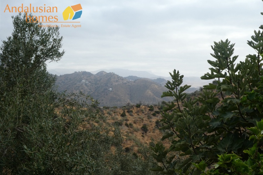 Álora property, country house AFO, finca for sale, mountain retreat Spain, off grid property, rural house Málaga, olive grove, secluded home, Andalusia real estate, Caminito del Rey, private access property, eco home Spain, house with land, peaceful getaway, solar potential, investment property Álora