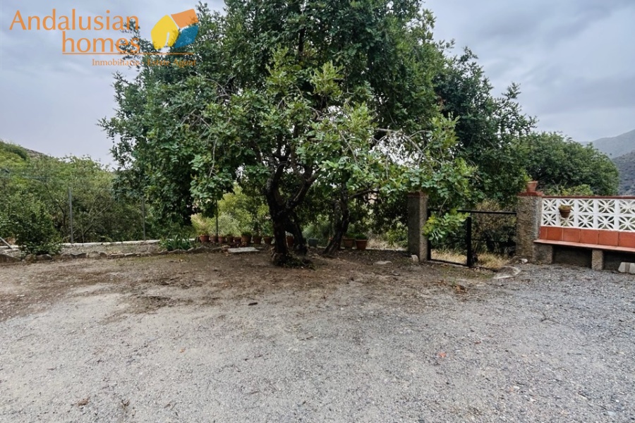 country house for sale, El Chorro property, Caminito del Rey, rural home Andalusia, finca for sale Spain, olive grove, country home Málaga, house with land, peaceful retreat, nature property, Spanish countryside, investment property, holiday home Andalusia, gated property, fireplace, olive and almond trees, casa de campo en venta, propiedad en El Chorro, Caminito del Rey, finca rústica Andalucía, casa rural Málaga, finca con olivos, casa con terreno, vivienda en la naturaleza, retiro tranquilo, propiedad rural, casa en venta España, inversión inmobiliaria, casa vacacional Andalucía, propiedad vallada, chimenea, olivos y almendros.