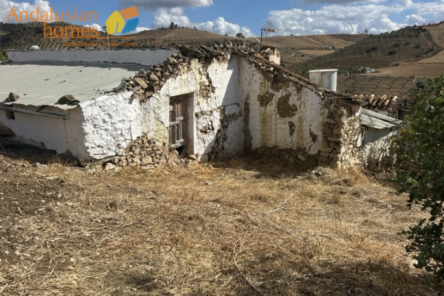 finca for sale, Andalusia property, olive grove, renovation project, rural land Spain, Valle de Abdalajís, Álora property, country estate, investment property, reform property Spain, finca en venta, propiedad en Andalucía, olivar, proyecto de reforma, terreno rústico España, Valle de Abdalajís, propiedad en Álora, finca rural, inversión inmobiliaria, casa para reformar