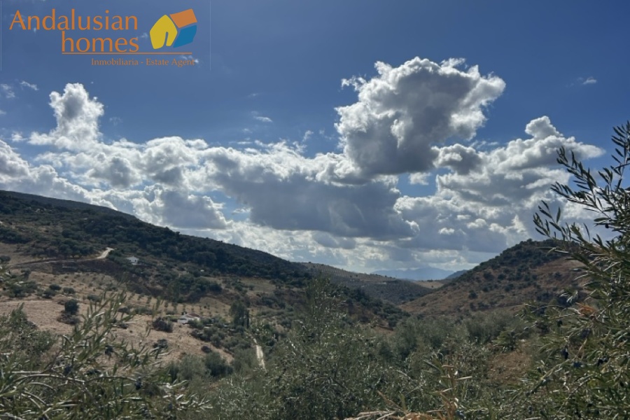 finca for sale, Andalusia property, olive grove, renovation project, rural land Spain, Valle de Abdalajís, Álora property, country estate, investment property, reform property Spain, finca en venta, propiedad en Andalucía, olivar, proyecto de reforma, terreno rústico España, Valle de Abdalajís, propiedad en Álora, finca rural, inversión inmobiliaria, casa para reformar