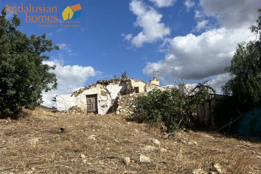 finca for sale, Andalusia property, olive grove, renovation project, rural land Spain, Valle de Abdalajís, Álora property, country estate, investment property, reform property Spain, finca en venta, propiedad en Andalucía, olivar, proyecto de reforma, terreno rústico España, Valle de Abdalajís, propiedad en Álora, finca rural, inversión inmobiliaria, casa para reformar
