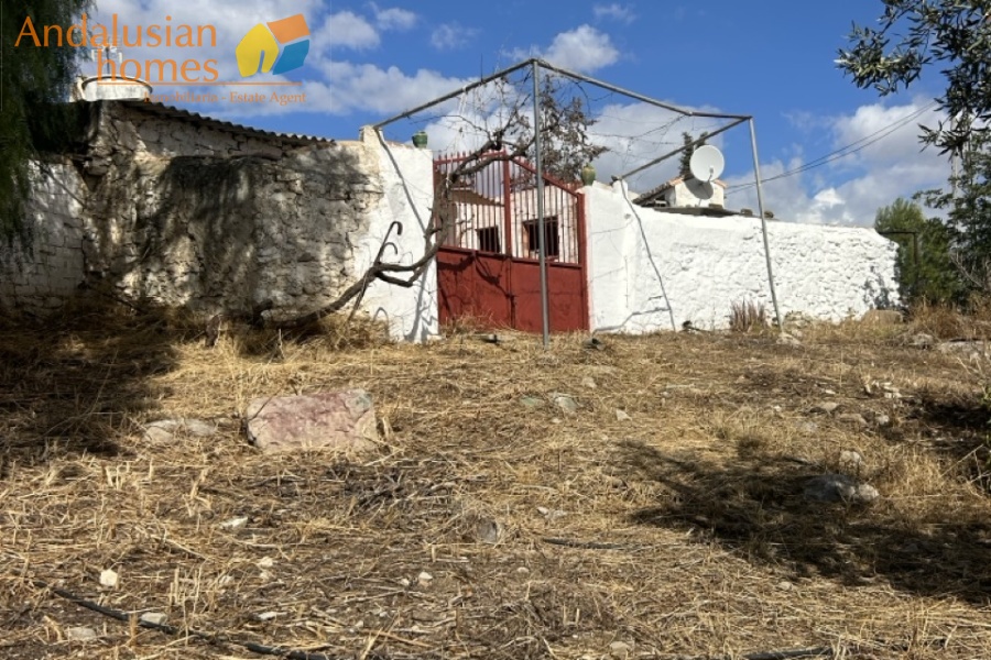 finca for sale, Andalusia property, olive grove, renovation project, rural land Spain, Valle de Abdalajís, Álora property, country estate, investment property, reform property Spain, finca en venta, propiedad en Andalucía, olivar, proyecto de reforma, terreno rústico España, Valle de Abdalajís, propiedad en Álora, finca rural, inversión inmobiliaria, casa para reformar