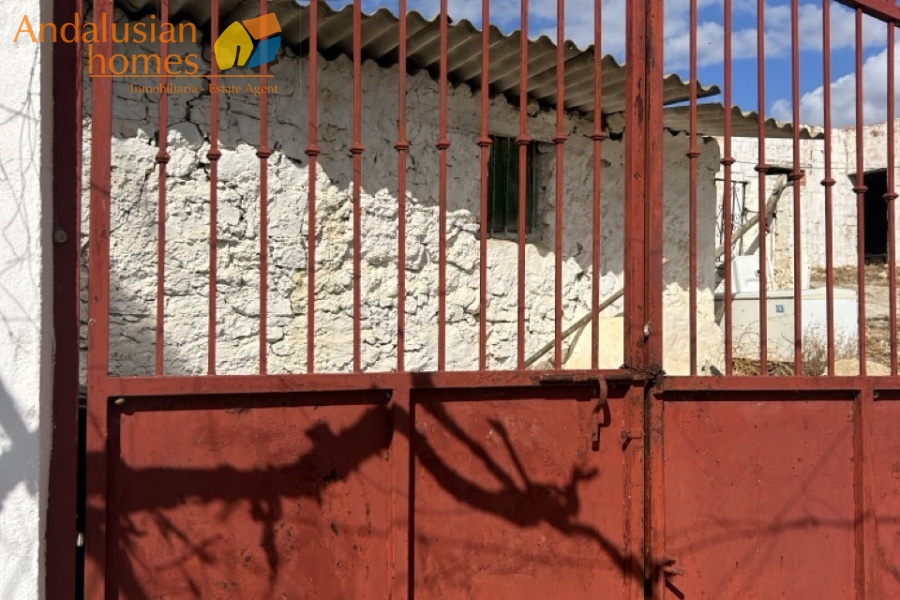 finca for sale, Andalusia property, olive grove, renovation project, rural land Spain, Valle de Abdalajís, Álora property, country estate, investment property, reform property Spain, finca en venta, propiedad en Andalucía, olivar, proyecto de reforma, terreno rústico España, Valle de Abdalajís, propiedad en Álora, finca rural, inversión inmobiliaria, casa para reformar