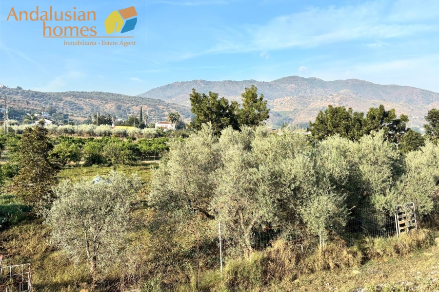 finca for sale los llanos, finca alora, country property alora, finca with land, olive grove property, rural property andalusia, renovation project spain, finca with outbuildings, canal water property, country house for sale malaga, spanish finca for renovation, finca near amenities, property with fruit trees