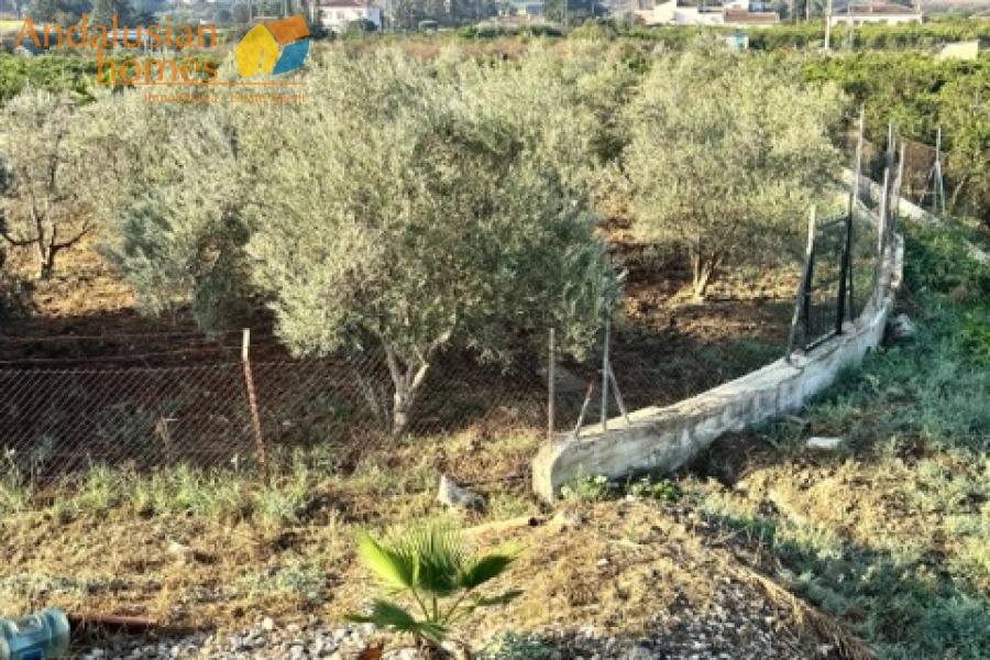 finca for sale los llanos, finca alora, country property alora, finca with land, olive grove property, rural property andalusia, renovation project spain, finca with outbuildings, canal water property, country house for sale malaga, spanish finca for renovation, finca near amenities, property with fruit trees