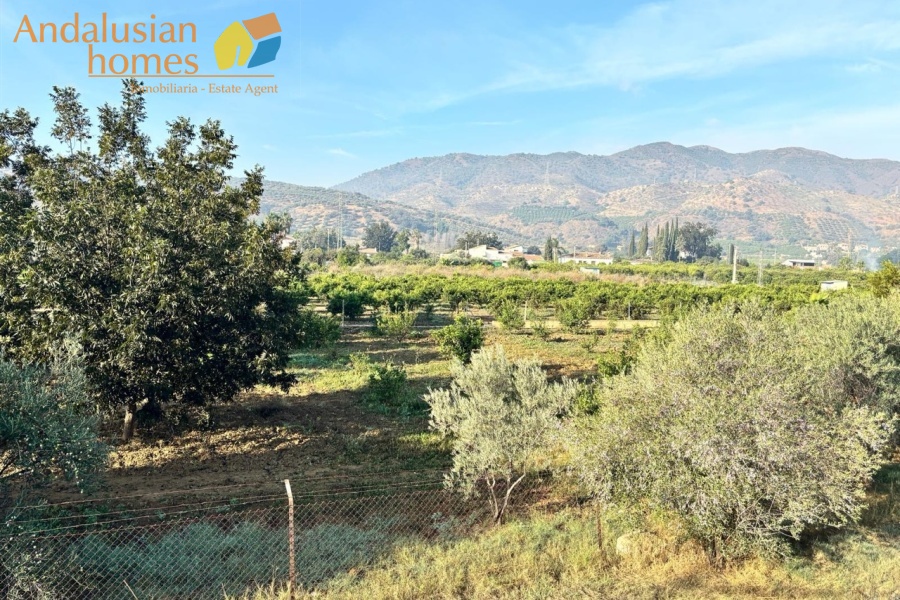 finca for sale los llanos, finca alora, country property alora, finca with land, olive grove property, rural property andalusia, renovation project spain, finca with outbuildings, canal water property, country house for sale malaga, spanish finca for renovation, finca near amenities, property with fruit trees