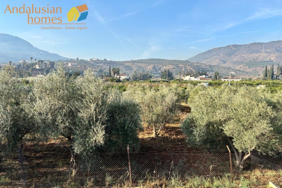 finca for sale los llanos, finca alora, country property alora, finca with land, olive grove property, rural property andalusia, renovation project spain, finca with outbuildings, canal water property, country house for sale malaga, spanish finca for renovation, finca near amenities, property with fruit trees