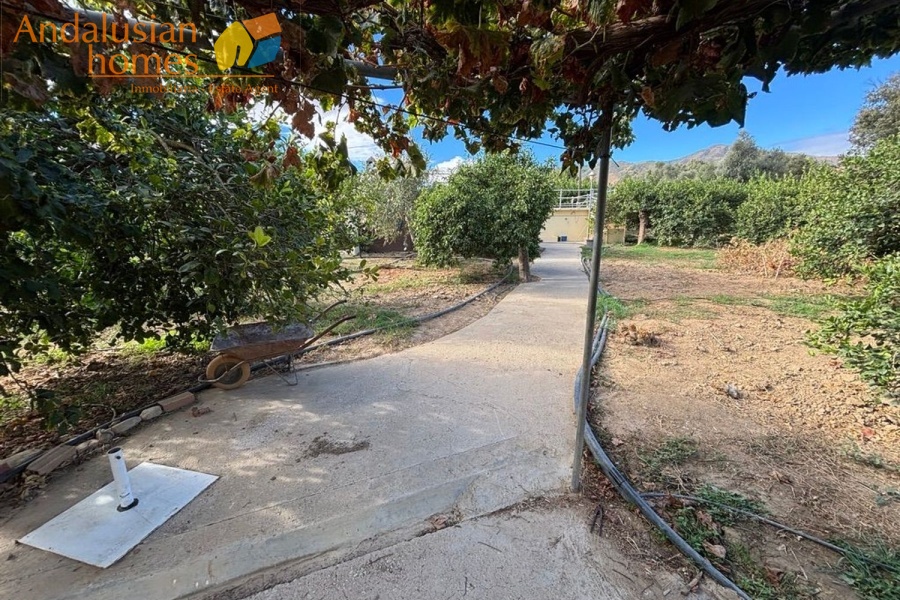 chalet for sale Álora, Las Mellizas property, country house Málaga, rural home for sale, finca Álora, house with pool Álora, property with well water, fruit trees property, peaceful rural retreat, fenced plot Álora, Andalusian countryside home, ready to move in chalet, Málaga real estate