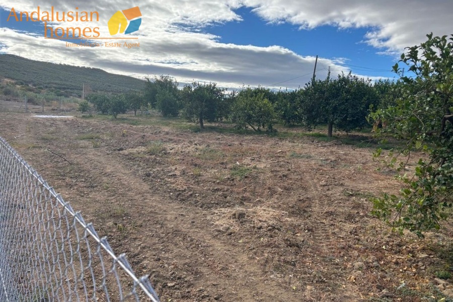 chalet for sale Álora, Las Mellizas property, country house Málaga, rural home for sale, finca Álora, house with pool Álora, property with well water, fruit trees property, peaceful rural retreat, fenced plot Álora, Andalusian countryside home, ready to move in chalet, Málaga real estate