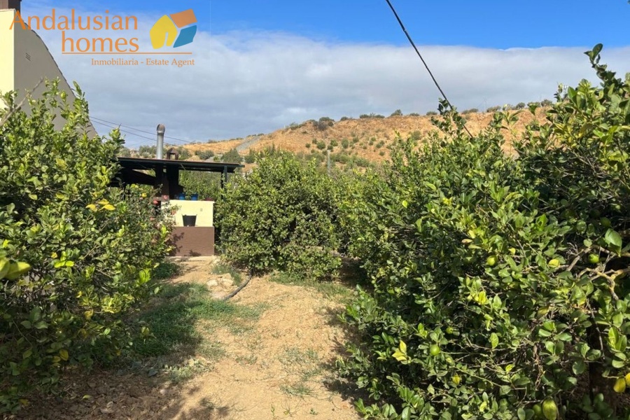 chalet for sale Álora, Las Mellizas property, country house Málaga, rural home for sale, finca Álora, house with pool Álora, property with well water, fruit trees property, peaceful rural retreat, fenced plot Álora, Andalusian countryside home, ready to move in chalet, Málaga real estate