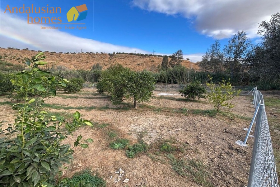 chalet for sale Álora, Las Mellizas property, country house Málaga, rural home for sale, finca Álora, house with pool Álora, property with well water, fruit trees property, peaceful rural retreat, fenced plot Álora, Andalusian countryside home, ready to move in chalet, Málaga real estate