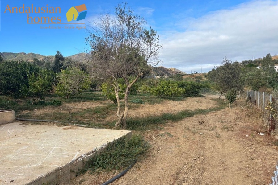 chalet for sale Álora, Las Mellizas property, country house Málaga, rural home for sale, finca Álora, house with pool Álora, property with well water, fruit trees property, peaceful rural retreat, fenced plot Álora, Andalusian countryside home, ready to move in chalet, Málaga real estate
