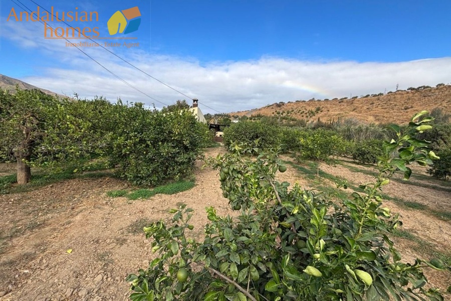 chalet for sale Álora, Las Mellizas property, country house Málaga, rural home for sale, finca Álora, house with pool Álora, property with well water, fruit trees property, peaceful rural retreat, fenced plot Álora, Andalusian countryside home, ready to move in chalet, Málaga real estate